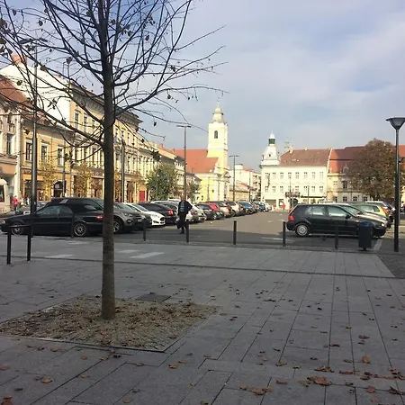 Casa Roz אכסניה קלוז'-נאפוקה