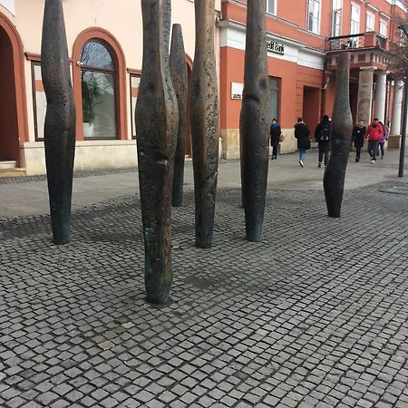 אכסניה Casa Roz