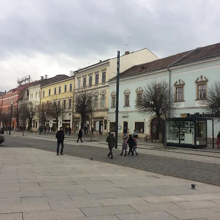 אכסניה Casa Roz