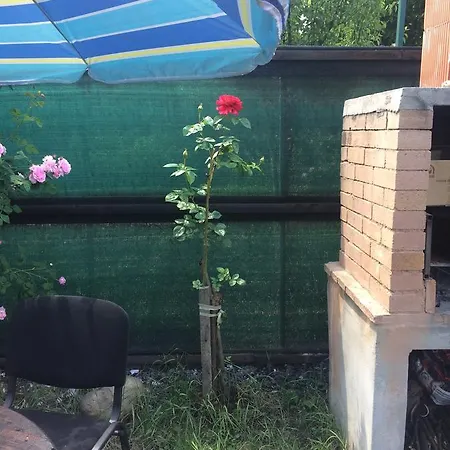 Casa Roz Hostel Cluj-Napoca