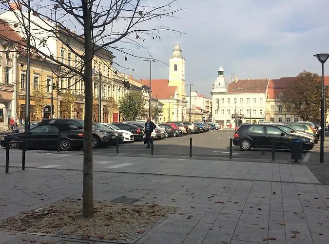 Casa Roz Hostel Cluj-Napoca