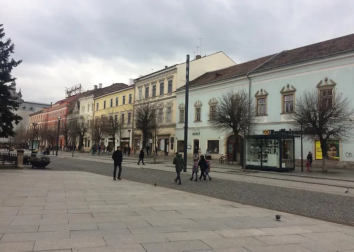 بيت شباب Casa Roz