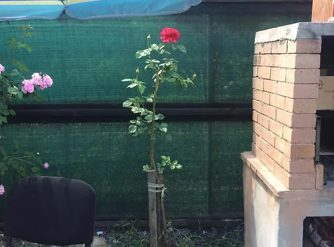 Casa Roz Hostal Cluj-Napoca