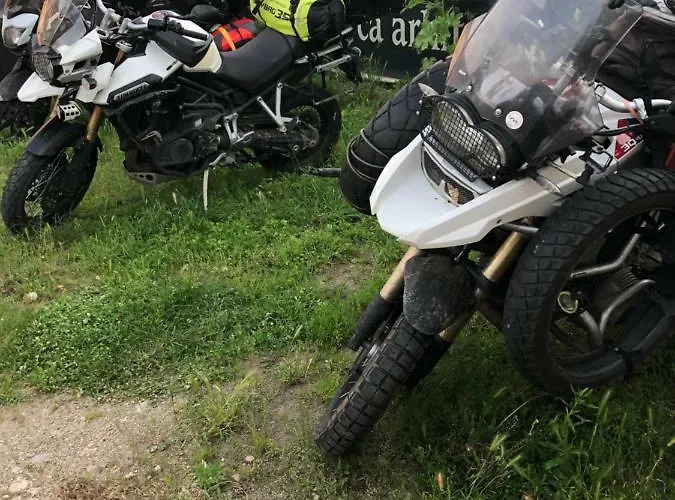 Casa Roz * كلوج-نابوكا